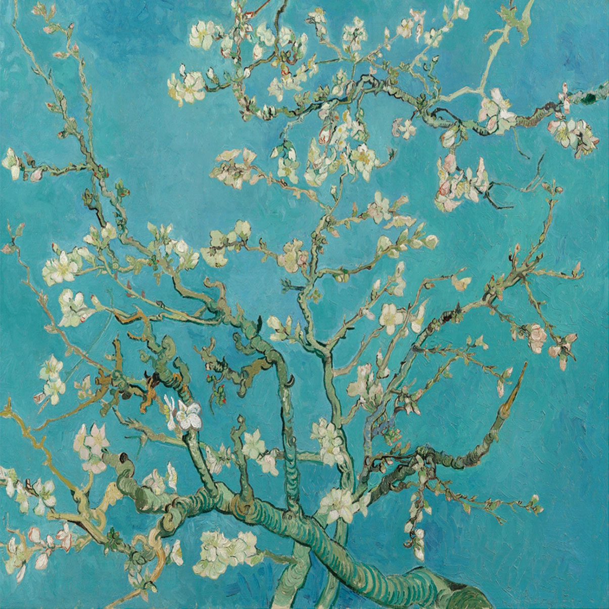 van Gogh 05