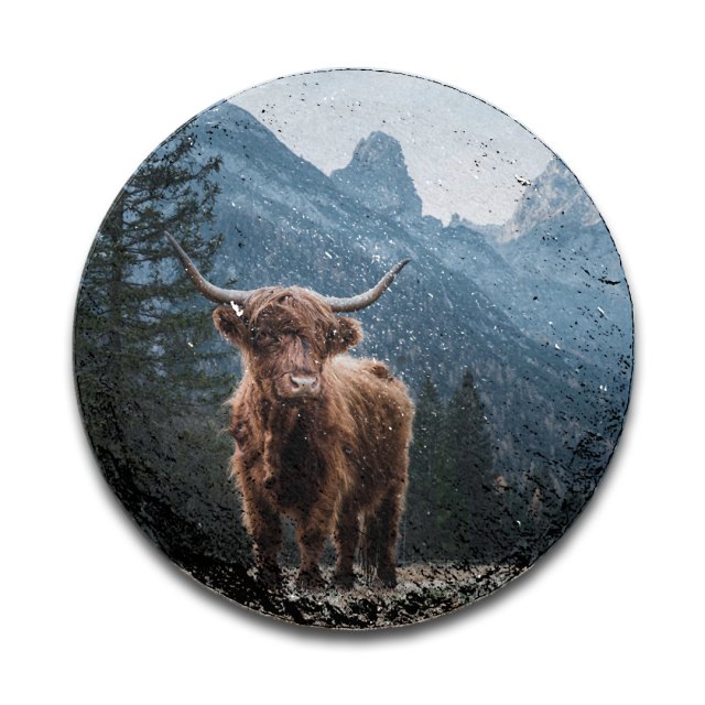 Ronde leisteen dieren in kleur 04