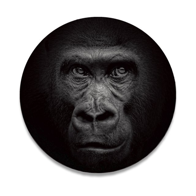 Ronde leisteen dieren in zwart wit - Gorilla 03