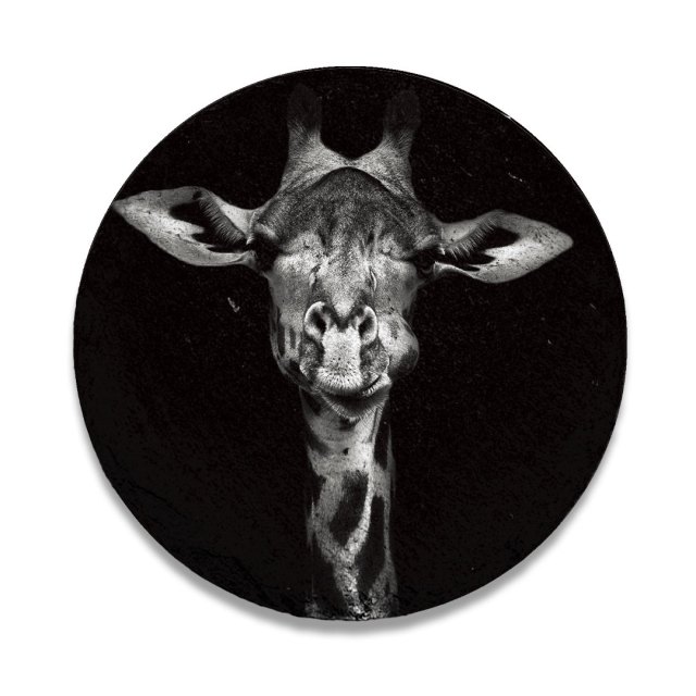 Ronde leisteen dieren in zwart wit - Giraf 01