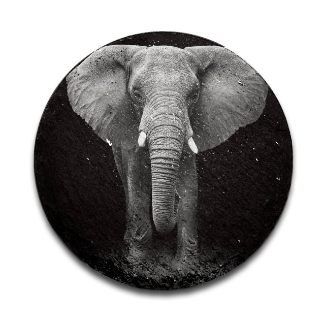 Ronde leisteen dieren in zwart wit - Olifant 03