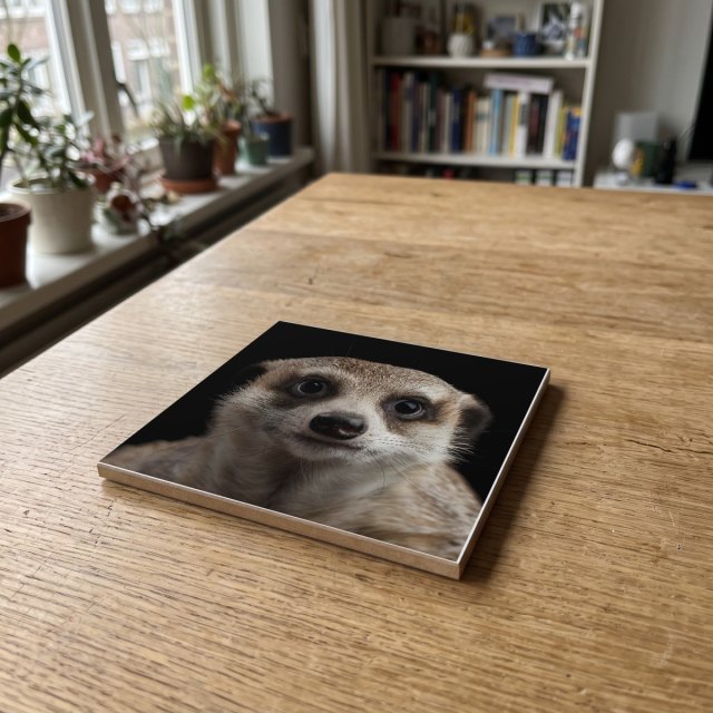 Dieren kleur 01