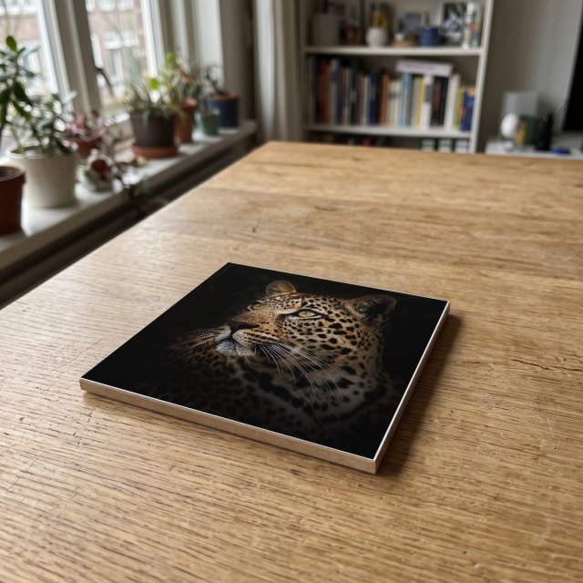 Dieren kleur 06