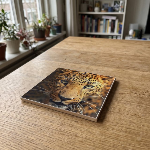 Dieren kleur 11