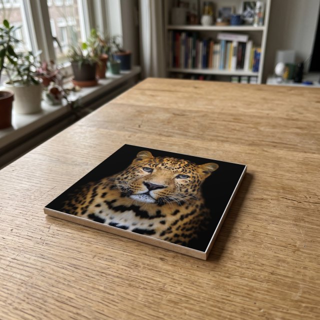 Dieren kleur 12