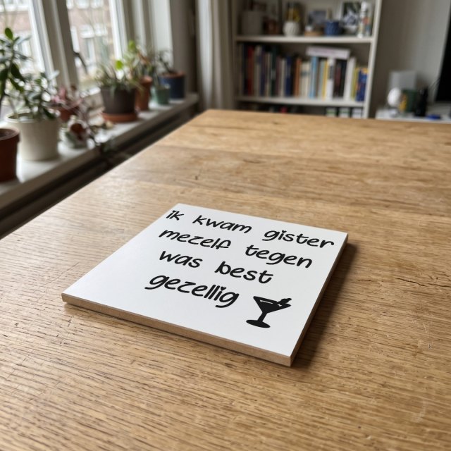 Nederlandse Quotes Wit 031